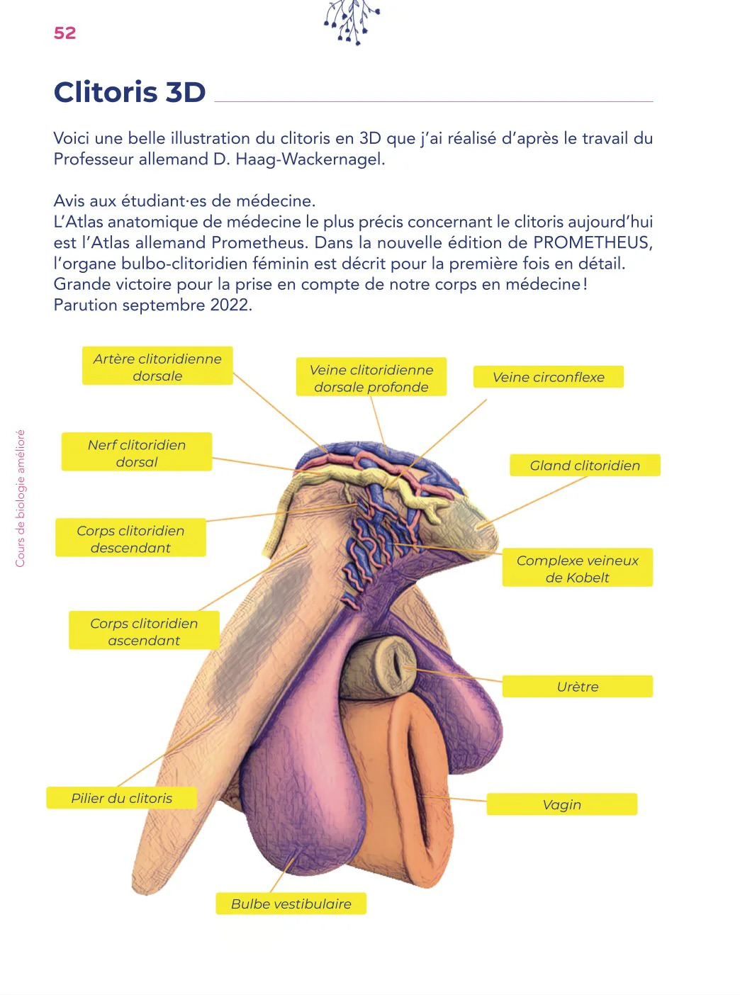 Une page du livre le petit guide de la masturbation féminine de Julia Pietri qui représente un shéma 3D de clitoris.